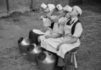 Strong bones start early. Learn how the right nutrients, healthy eating, and regular exercise help maintain bone density and reduce fracture risk.